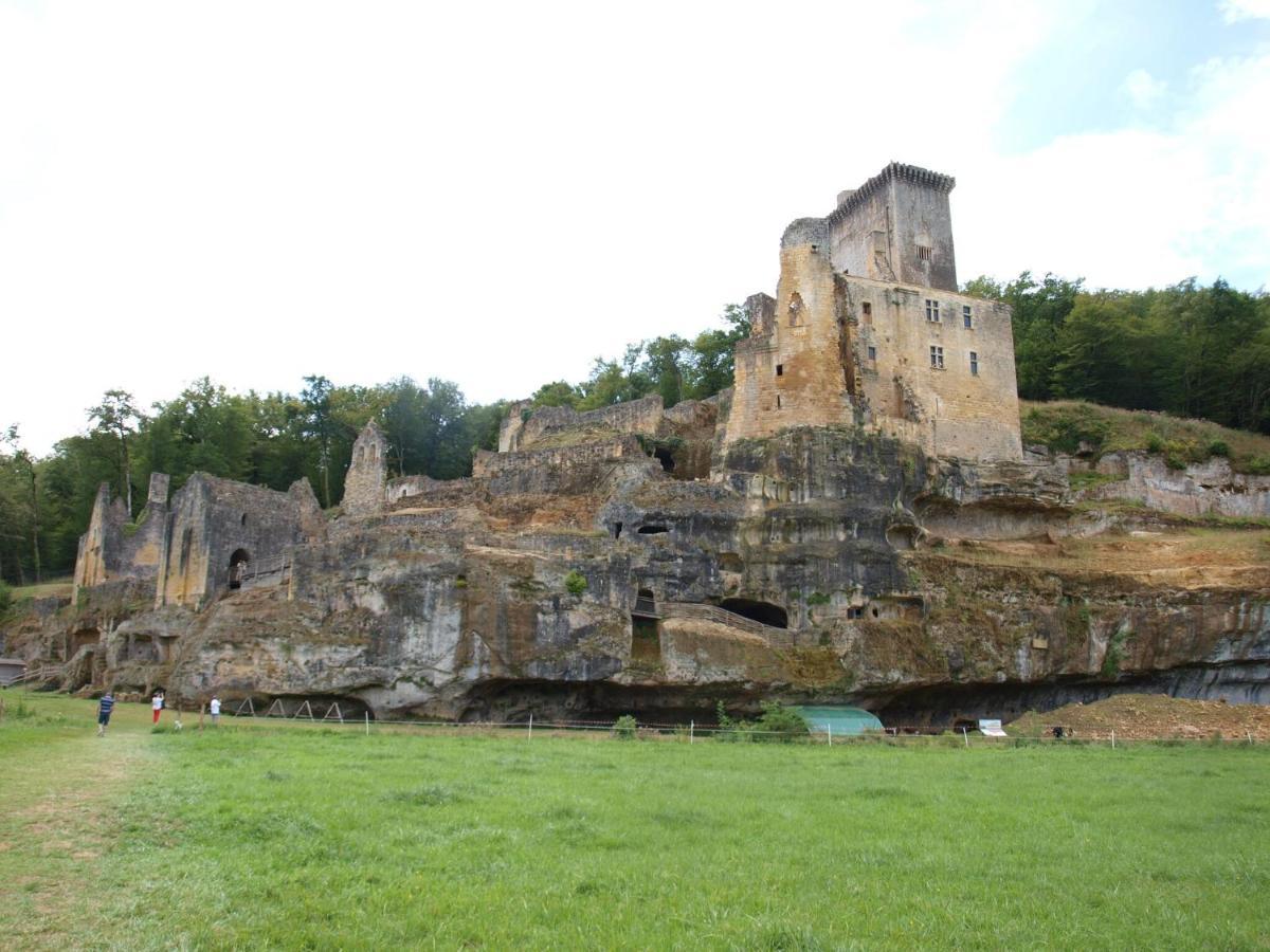 Cozy Cottage In Aquitaine With Private Swimming Pool Peyzac-le-Moustier エクステリア 写真